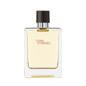 Hermès Terre d’Hermès EDT 100ml